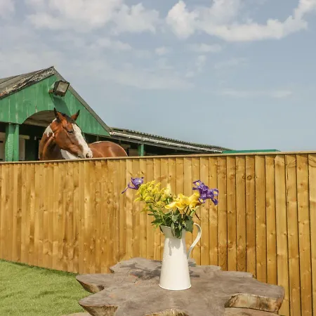 Ferienhaus The Sequoia *